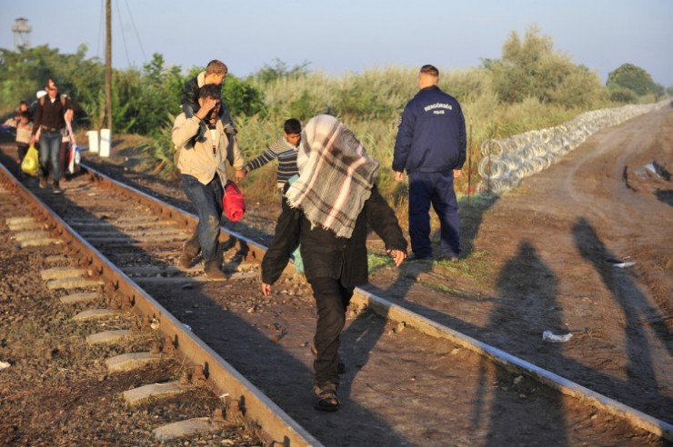 20150824 Röszke Menekültek Migráns Határ Kerítés Fotó:koncz György